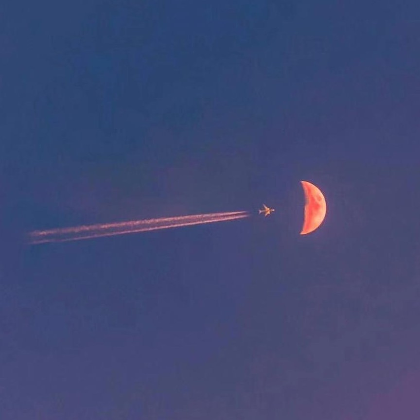 及时行乐的专辑