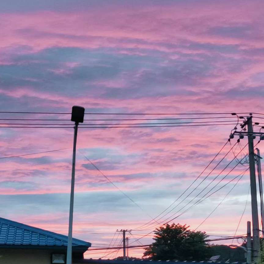 随随便便记住的句子