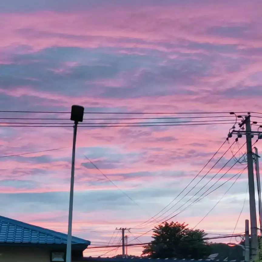 随随便便记住的句子