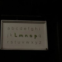 用在作文里的句子