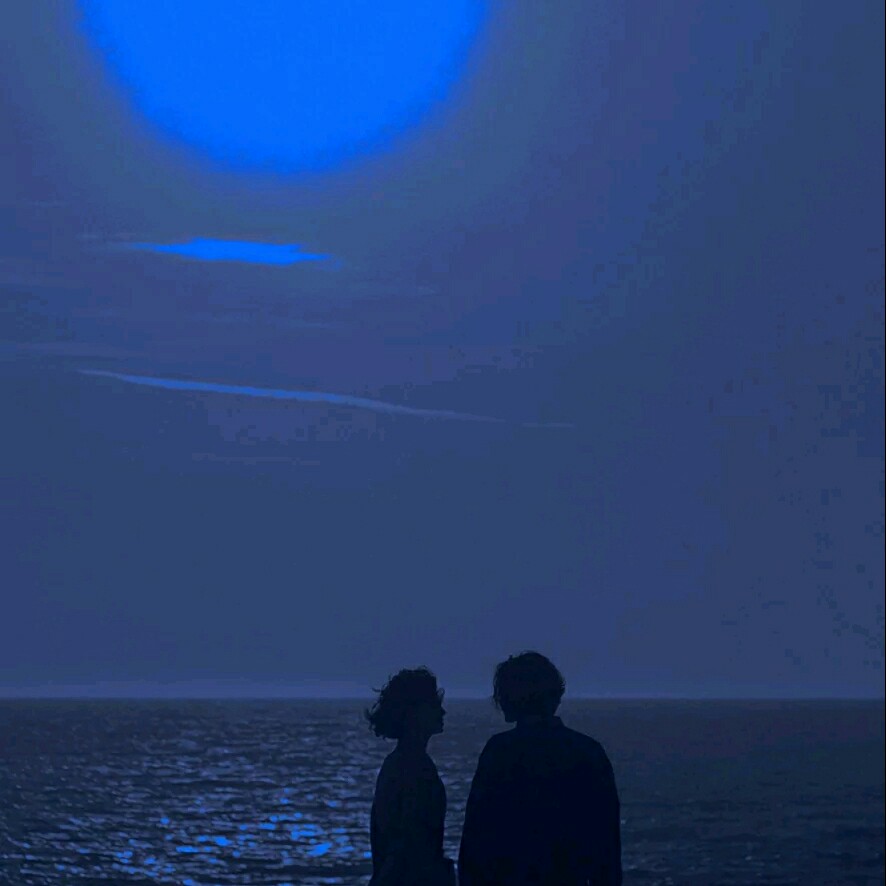 关于小说［言情］