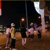 TF家族三代