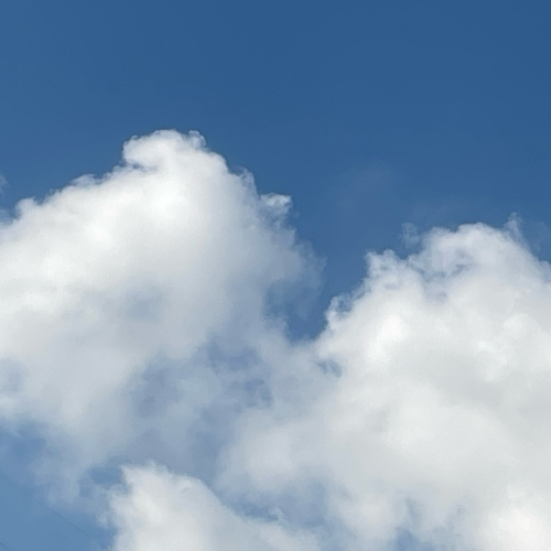 适合天冷发的搞笑文案