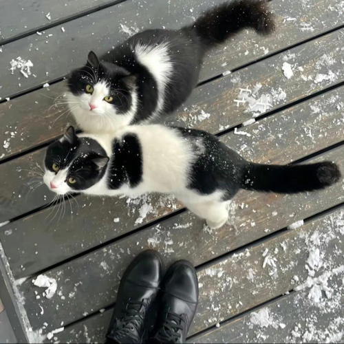 超好笑的熬夜文案