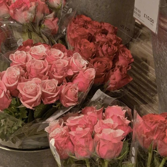 仙女阿姨的专辑