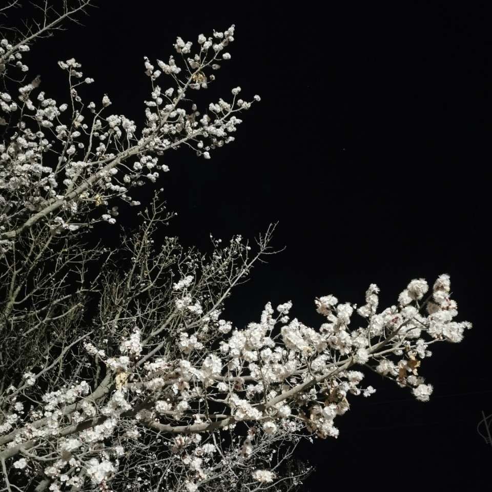 SEA PHILOSOPHY的专辑