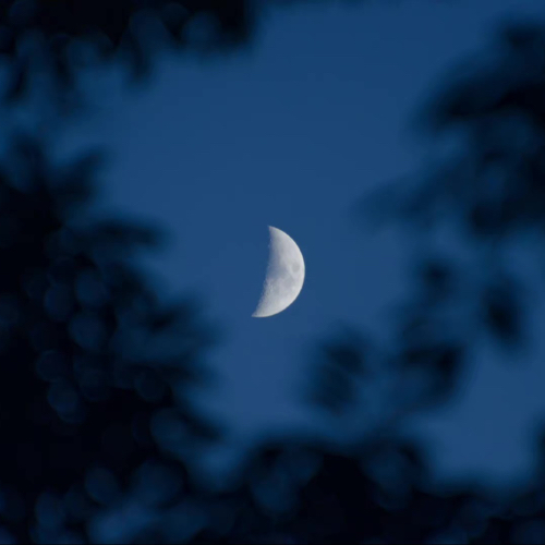 讽刺性极强又很惊艳的句子