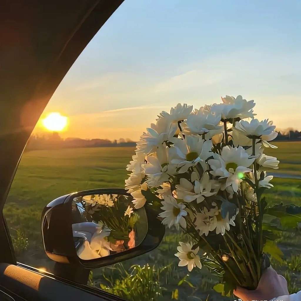 星河万里的专辑