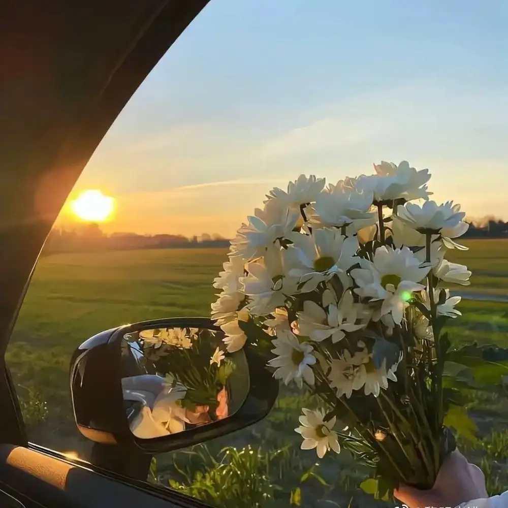 星河万里的专辑