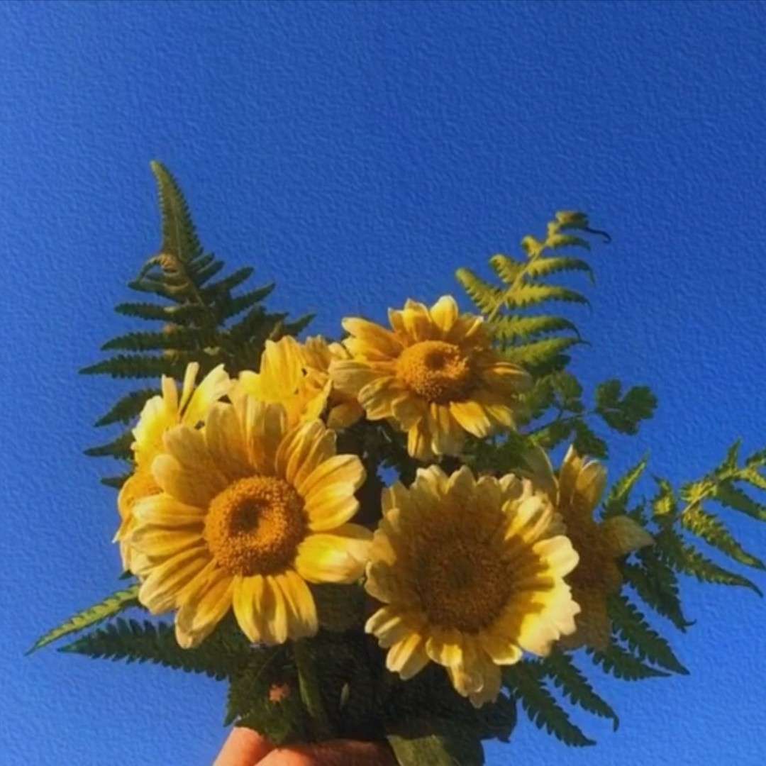 小洋睡不醒的专辑