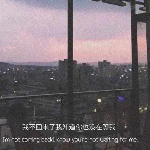 电影经典台词🍀难忘