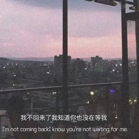 电影经典台词🍀难忘