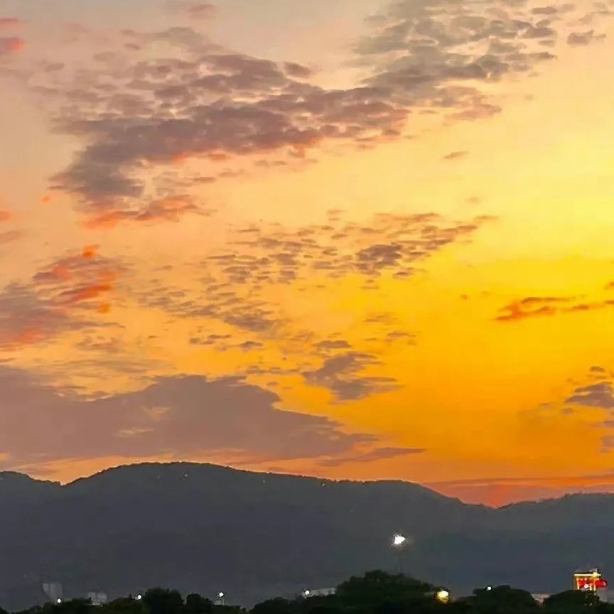 Epidemic Situation（疫情）