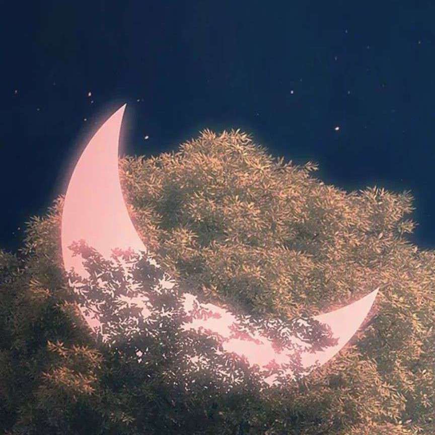 取次花丛懒回顾，半缘修道半缘君