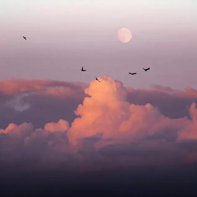 明月松间照，清泉石上流