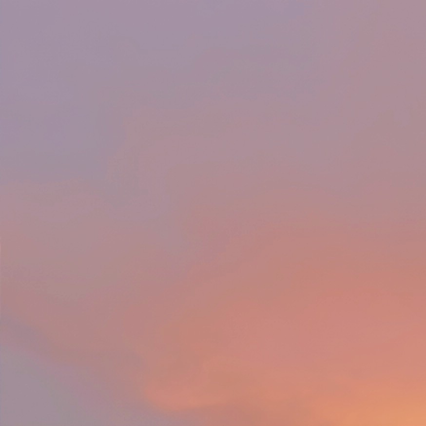 浅野野野野野子的专辑