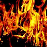 有哪些小说的句子让你觉得热血沸腾？