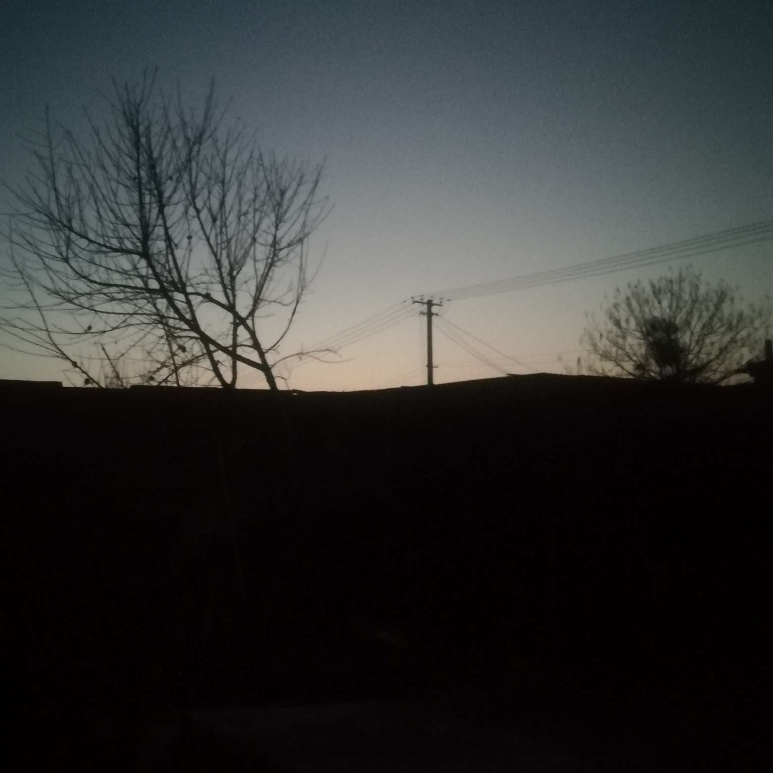 my favorite！！！