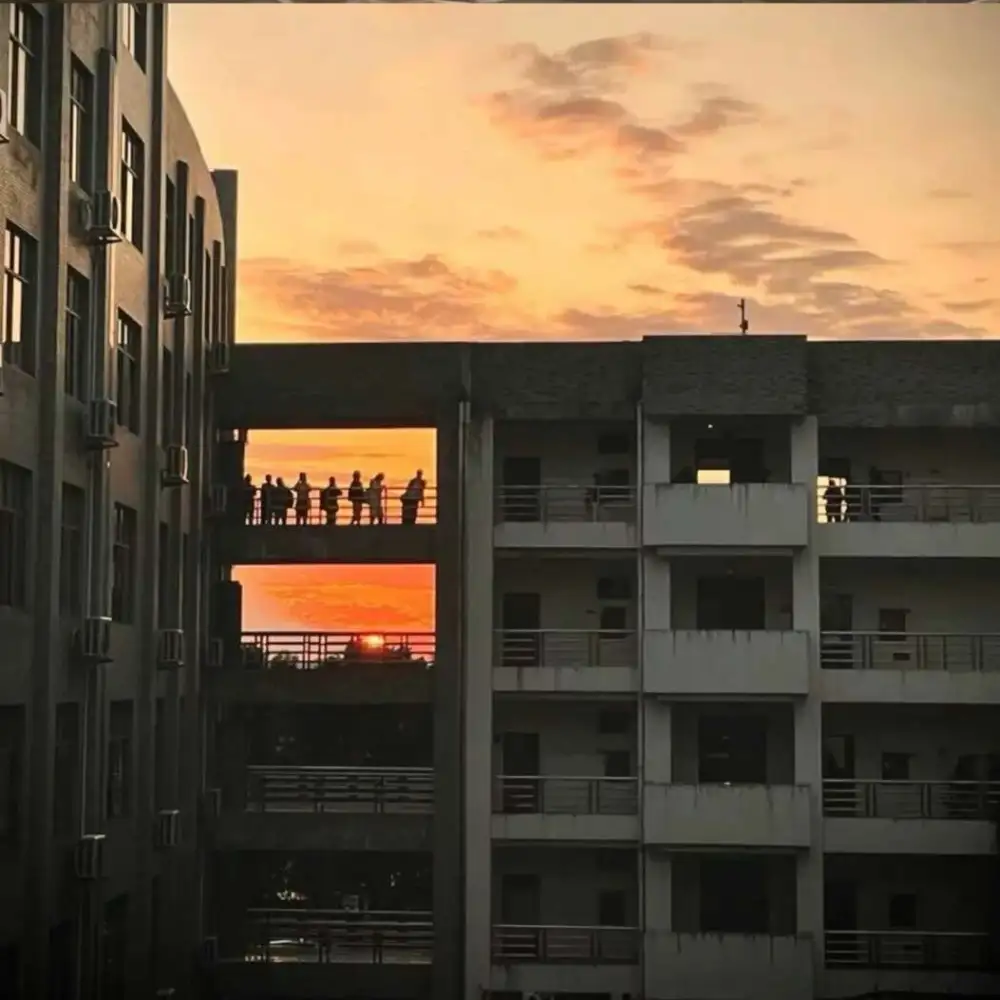 孤独患者的专辑