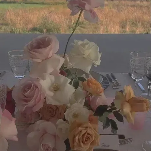 《偷偷藏不住》