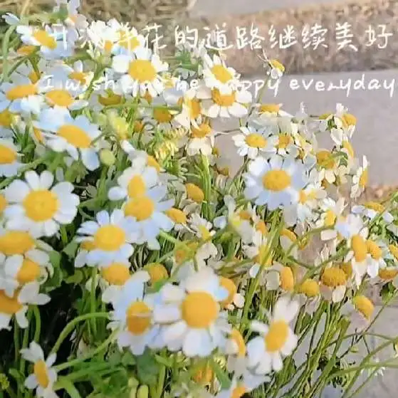花满枝头