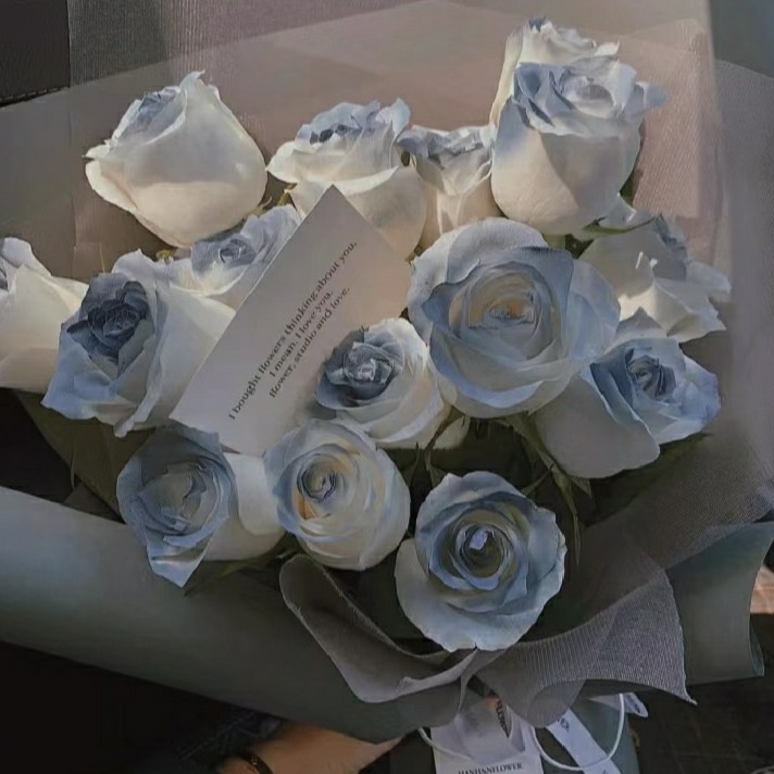 散落星河的记忆