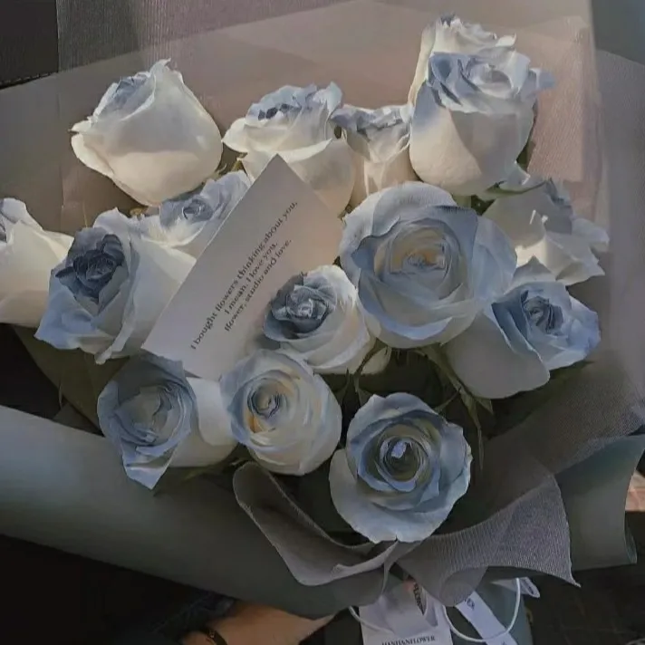 散落星河的记忆