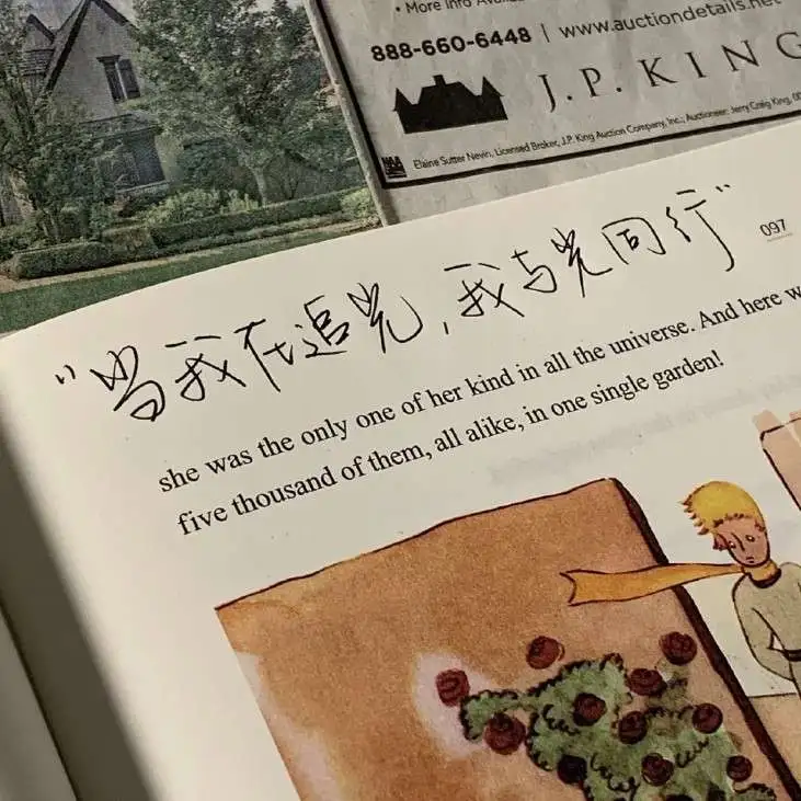 我的专辑