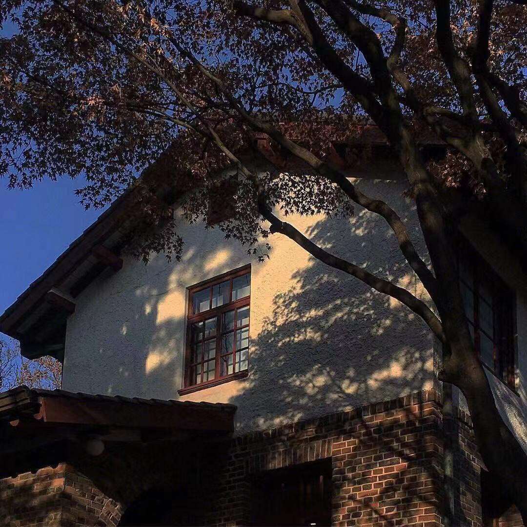 想与你共享点点滴滴