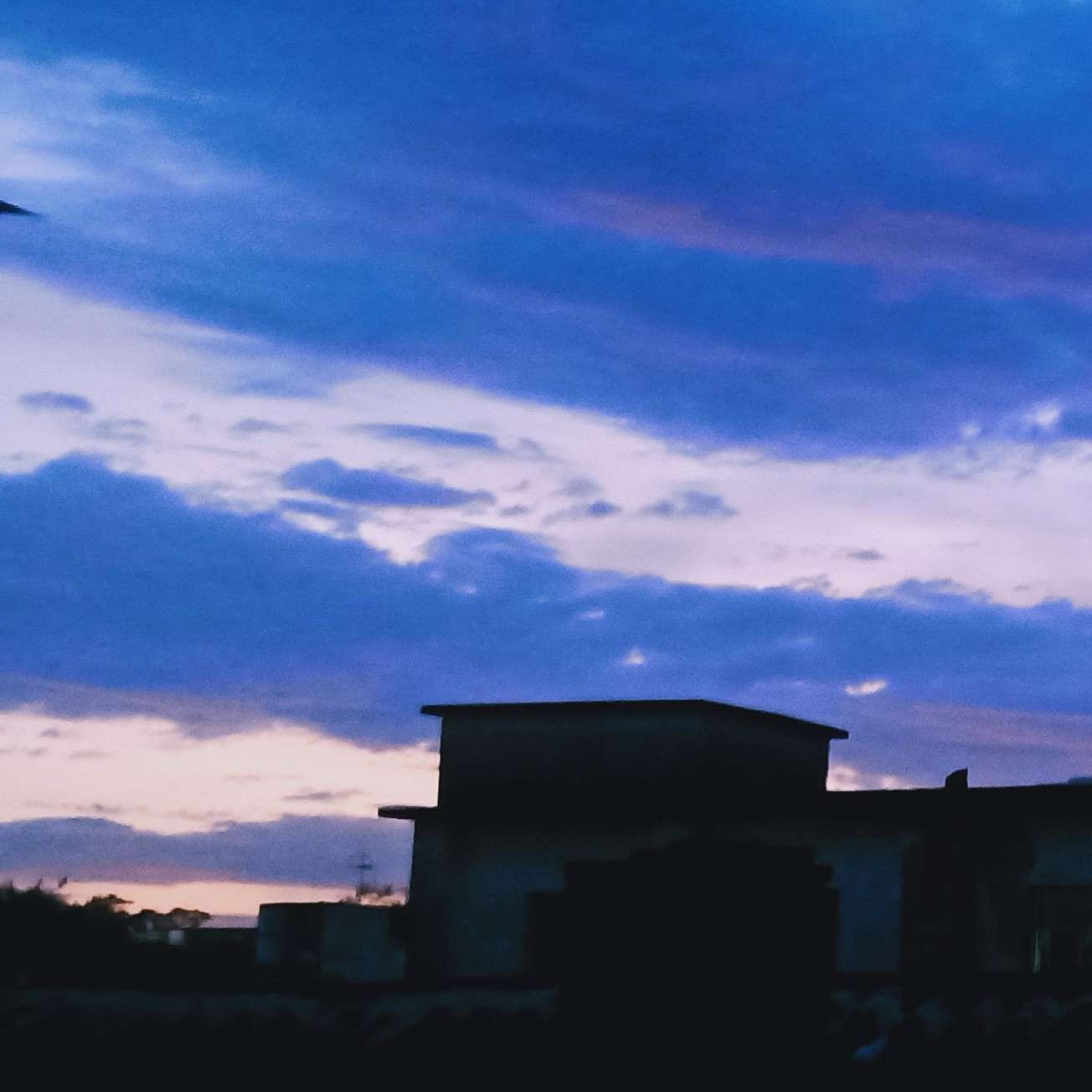 “桃李不言，下自成蹊。”