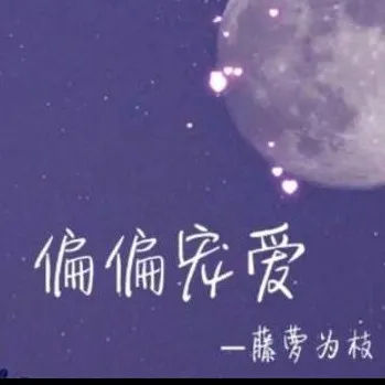 偏偏宠爱