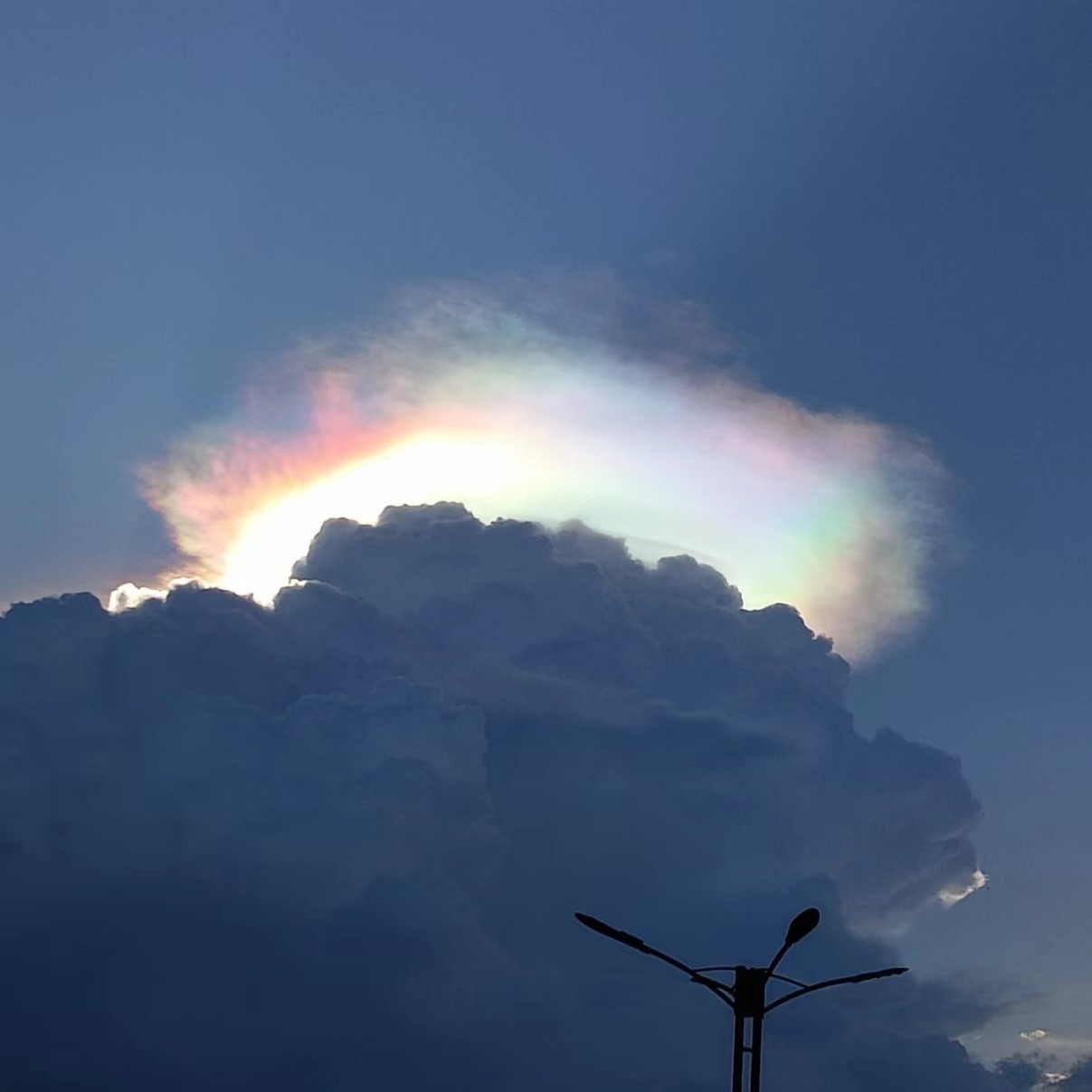 白天不懂夜的黑