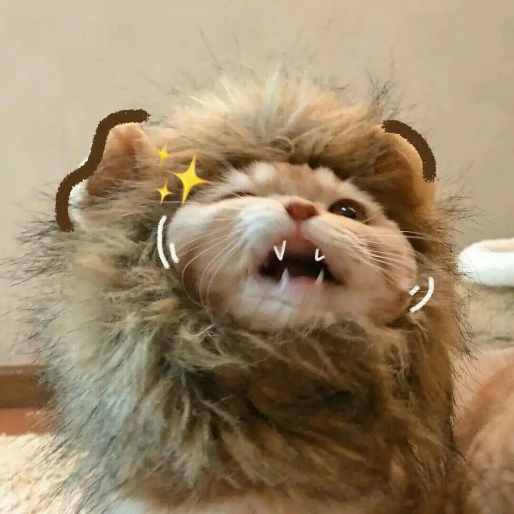 莹桑的专辑