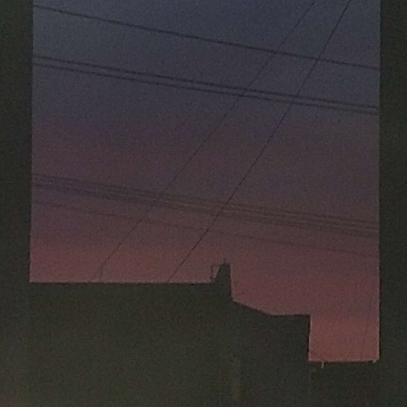 一切都是那么真实