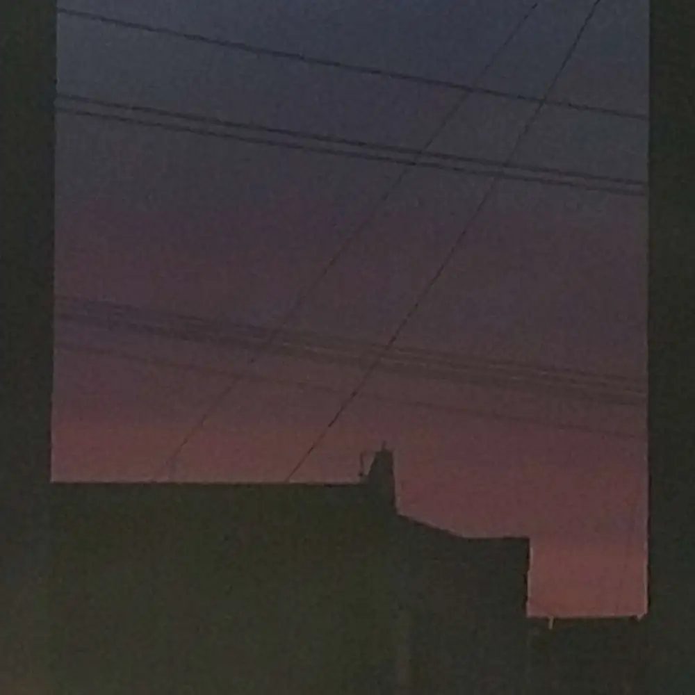 一切都是那么真实