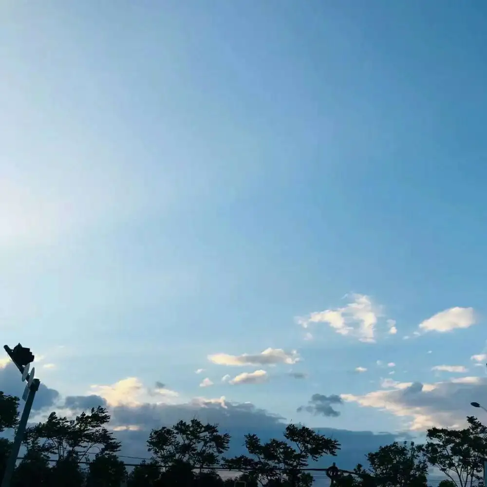 心向光明