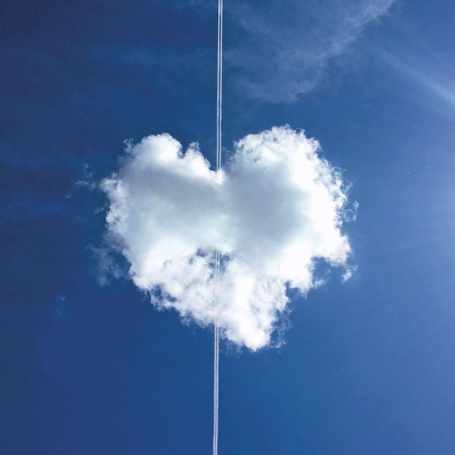 《天亮了，你就回来了》