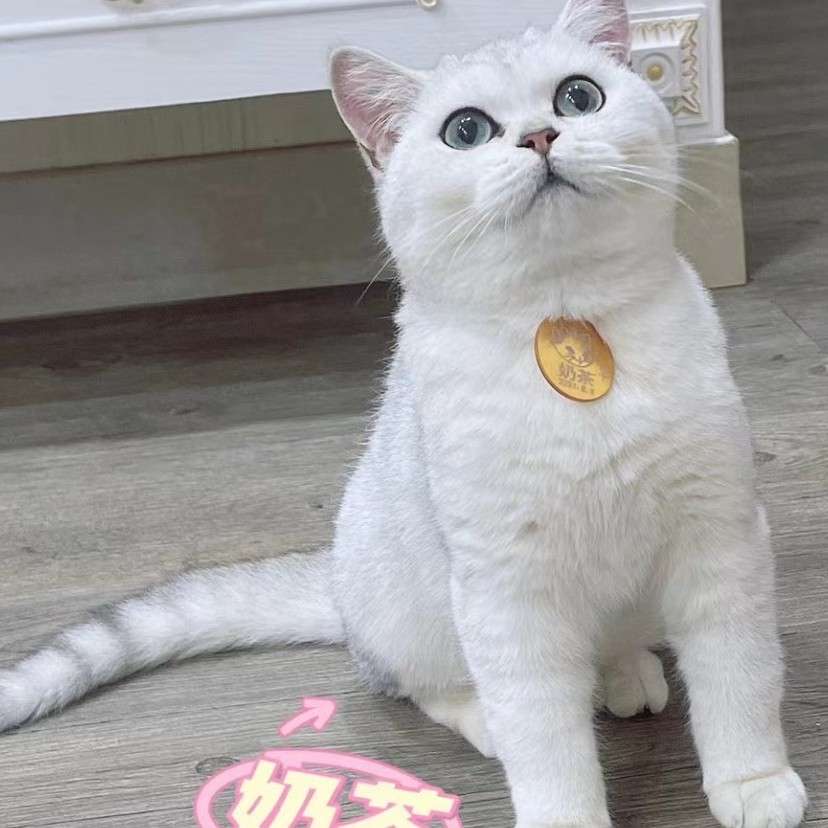 多巴胺让爱情持续，荷尔蒙让爱情保留。