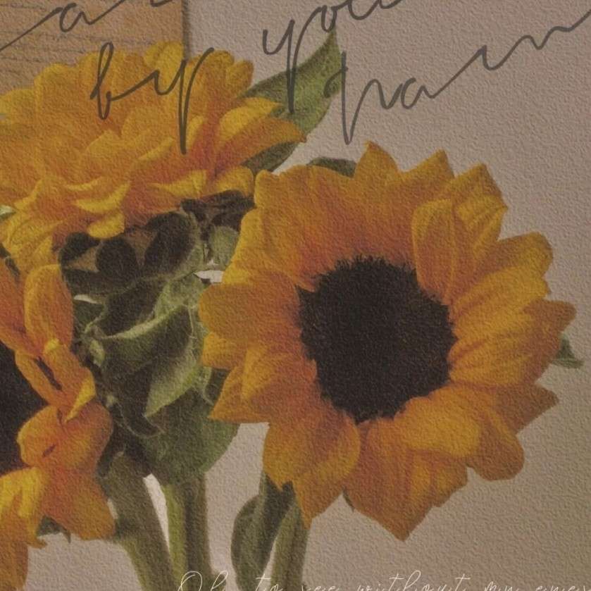 馨馨三岁了的专辑