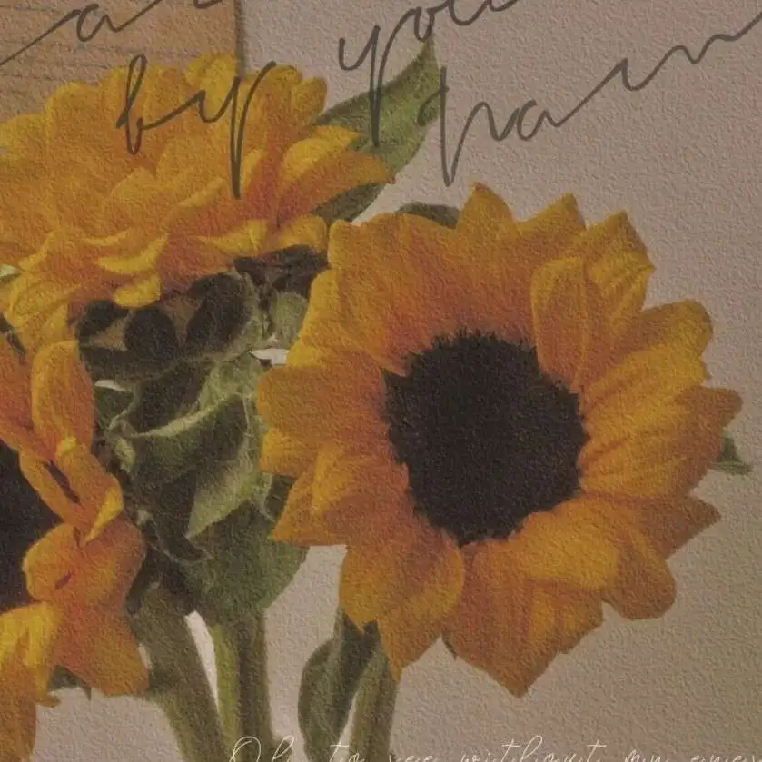 馨馨三岁了的专辑