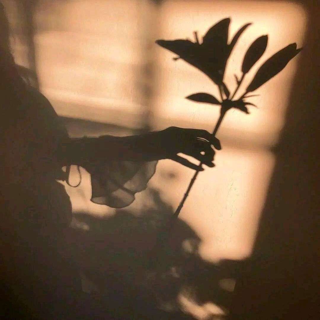 做好自己，做一股清流