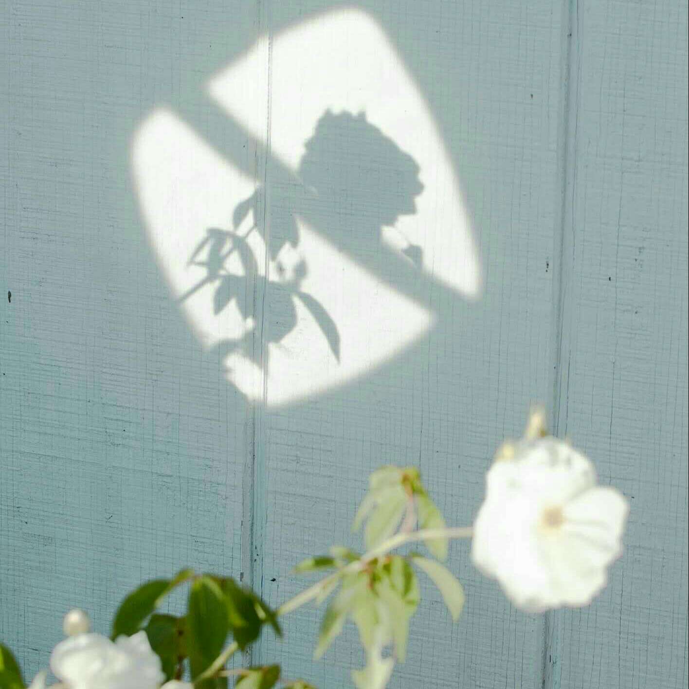 《房思琪的初恋乐园》