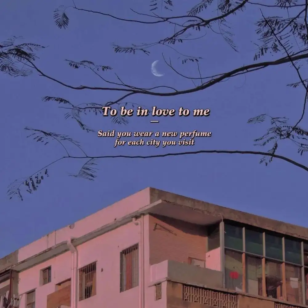 超级戳我的，适合表白的句子