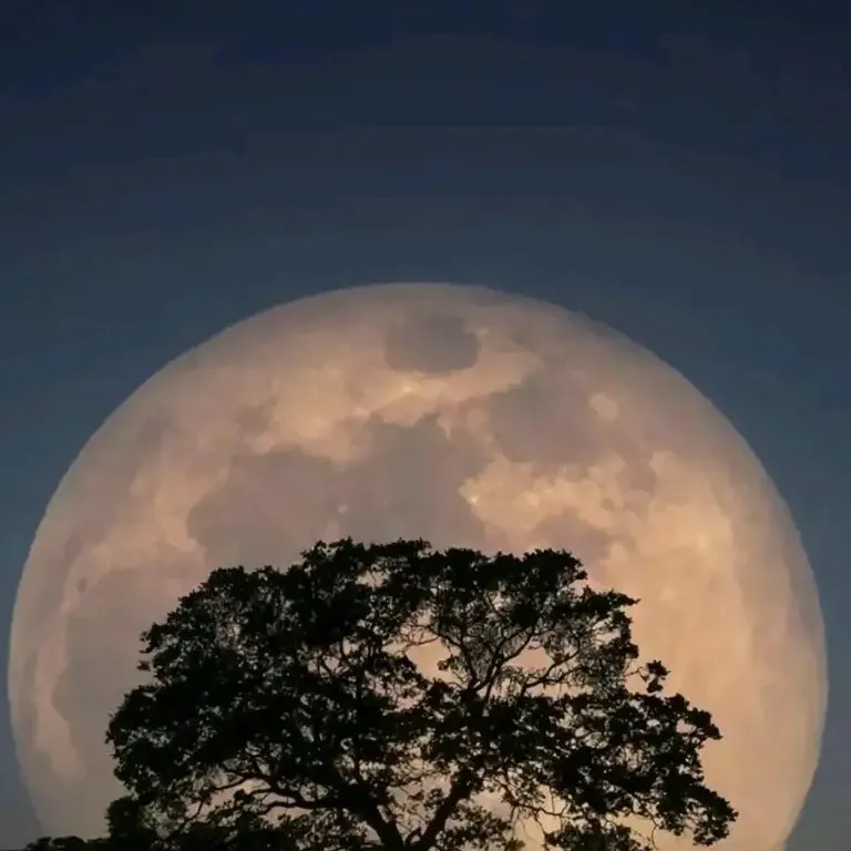 温愈