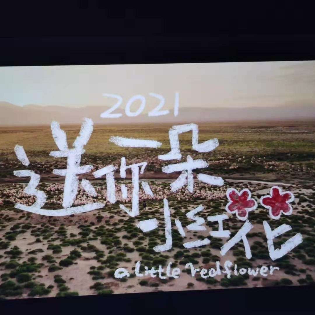 送你一朵小红花