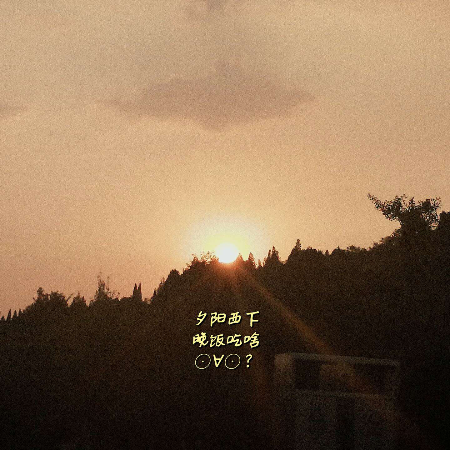 ✨✨✨✨✨✨✨✨✨✨✨✨✨✨✨