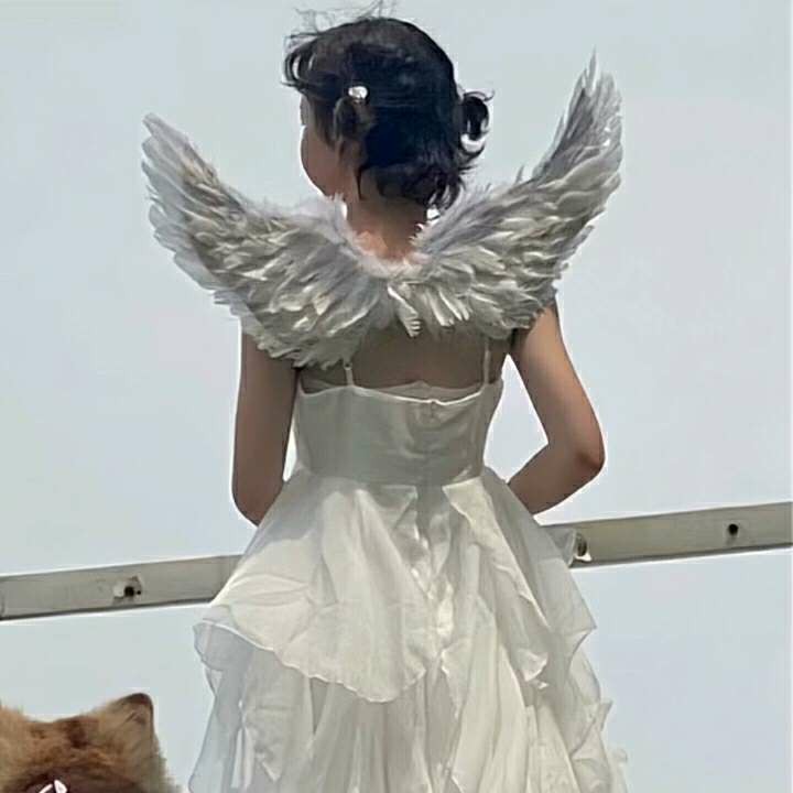 仙女の烦琐心事