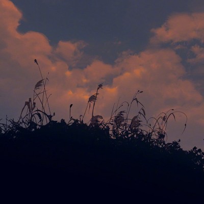 《坏道》经典语录