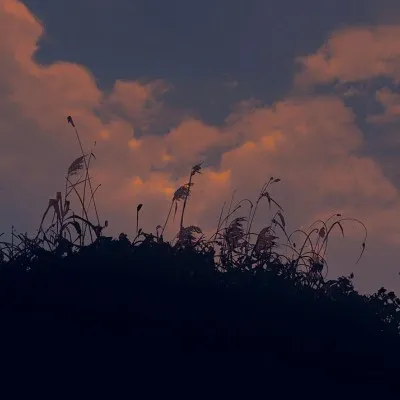 《坏道》经典语录