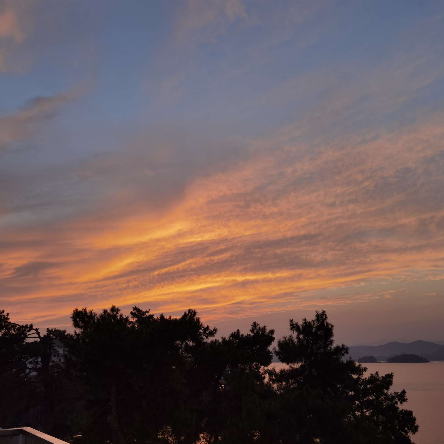 每句都写在心尖